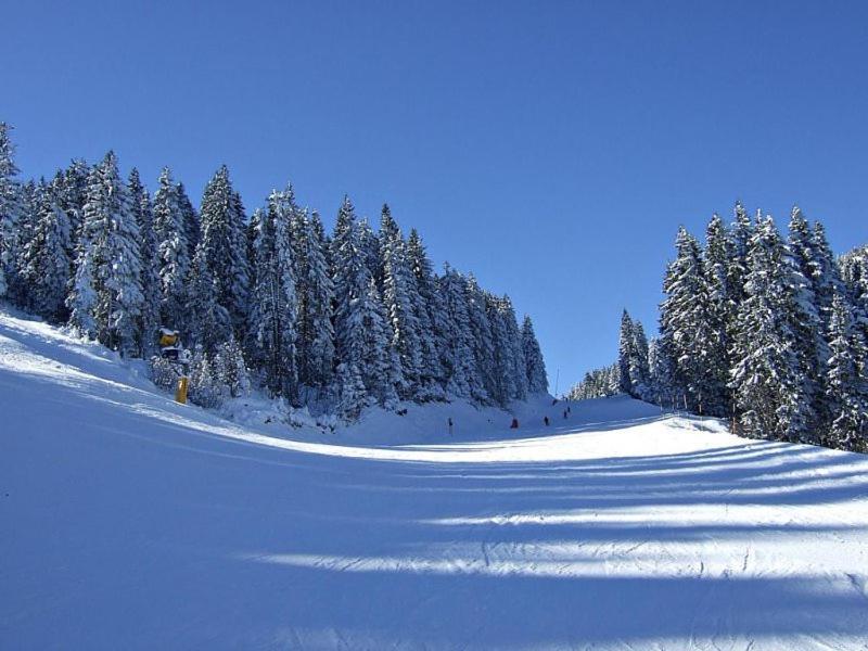 L&N Apartmani Kopaonik-Milmari Resort Exterior foto
