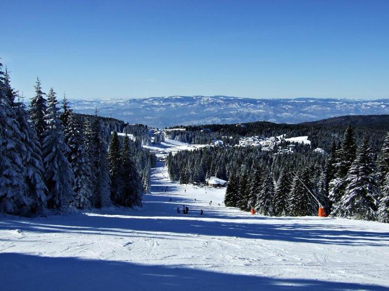 L&N Apartmani Kopaonik-Milmari Resort Exterior foto
