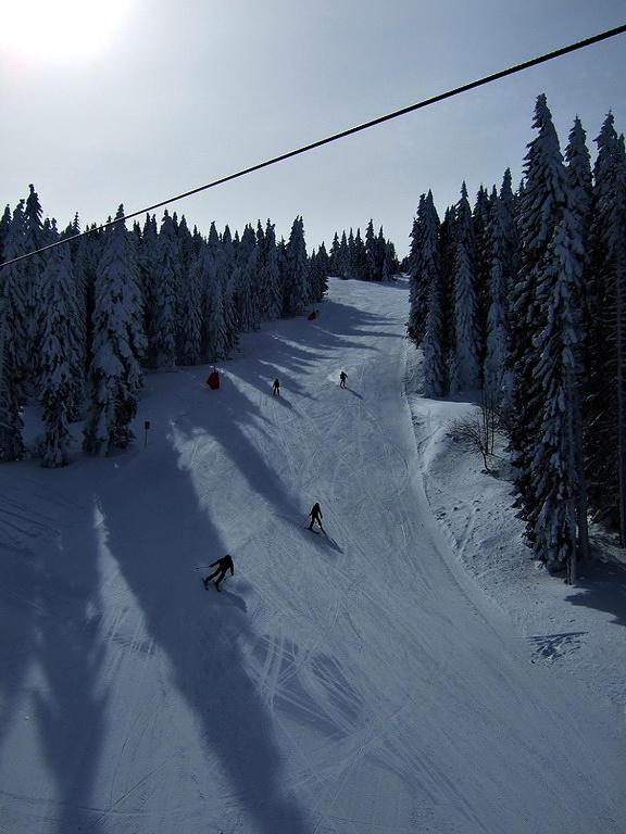 L&N Apartmani Kopaonik-Milmari Resort Exterior foto